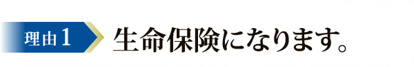 理由1 生命保険になります。